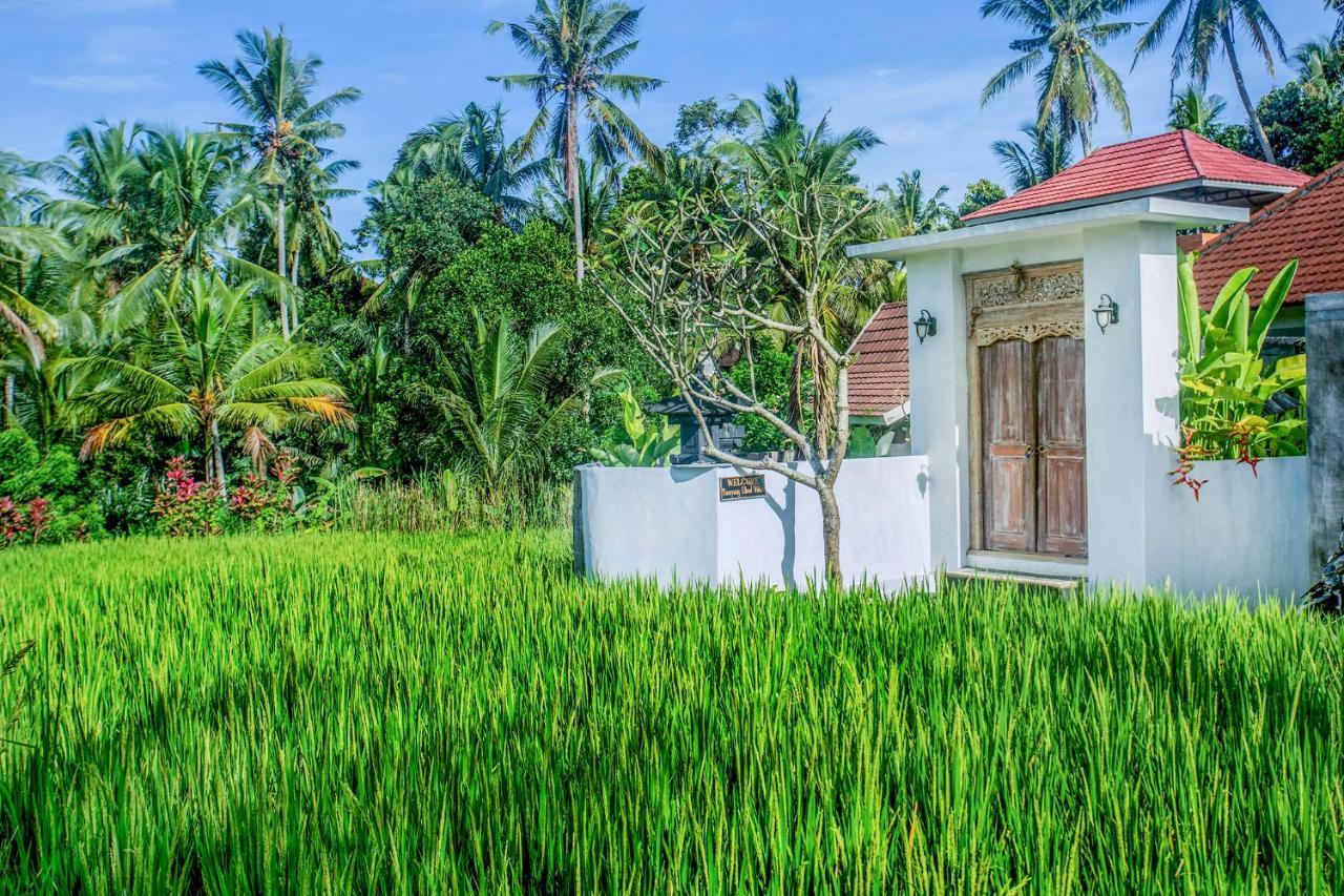 Tamyang Ubud Villas エクステリア 写真